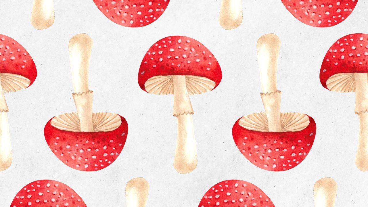 Fungal Feng Shui: Mushrooms Are Taking Over Home Décor